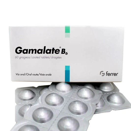 GAMALATE B6 X 60 TABLETAS